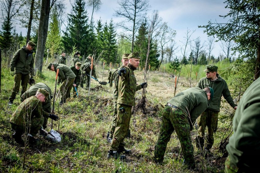Ąžuolų sodinimo akcija bendram darbui subūrė „Geležinio Vilko“ brigados padalinių karius 
