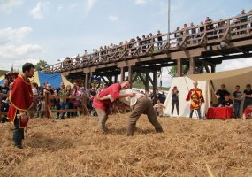 Lietuviškų ristynių kovos meną praktikuojantis profesionalus karys: „Tai papildo mano veiklą... - 6
