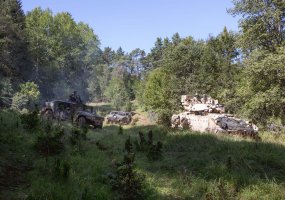 Sausumos pajėgų kariai dalyvauja pratybose „Jungtinis ryžtas“   - 5