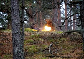 „Sidabrinė strėlė 2019“: Baltijos bataliono treniruotė - 3