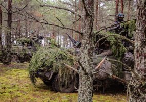 Units of the MIB Iron Wolf and the NATO enhance Forward Presence Battalion Battle Group are... - 2