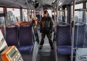 Dar viena išskirtinė Juozo Vitkaus inžinerijos bataliono kinologų treniruotė  - 1