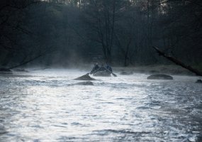 Karinis rengimas Gedimino štabo batalione 2019 m. - 5