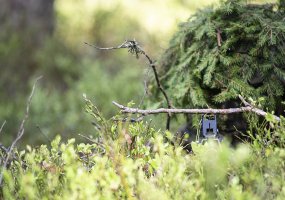 Vytenio bataliono NPPKT karių pratybos „Stebėjimo postas“ - 2
