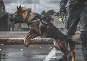 Karinių pratybų „Karaliaus kirtis 2020“ metu bendri karių ir policininkų veiksmai  - 2
