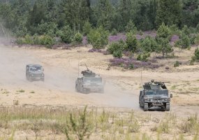 Paskutiniame pratybų ,,Grifono kirtis 2020 / Medžiotojas 2020’’ etape – pėstininkų operacija,... - 4