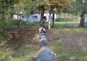 Pasveikę nuo COVID-19 infekcijos Kęstučio bataliono NPPKT kariai grįžo į rikiuotę  - 3