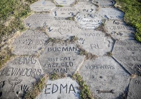 Karinių oro pajėgų paieškos ir gelbėjimo sraigtasparnio įgulos vadas Suomis, antrasis pilotas... - 6