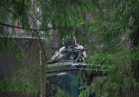 Būrių vertinamosios lauko taktikos pratybos: per asmeninį meistriškumą komandos sėkmės link - 3