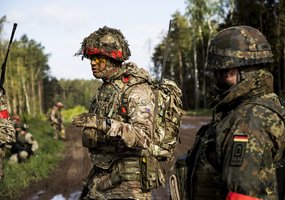 Tarptautinės pratybos „Geležinis vilkas 2021 I“ – pasirengimas veikti kartu su sąjungininkais - 2