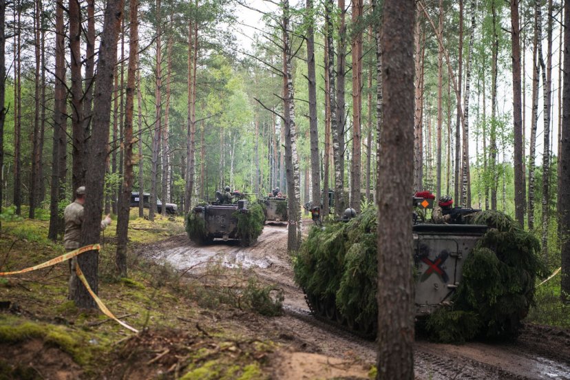 Military observers of Russia, Belarus, Finland and Sweden to observe Exercise Iron Wolf 2021-I 