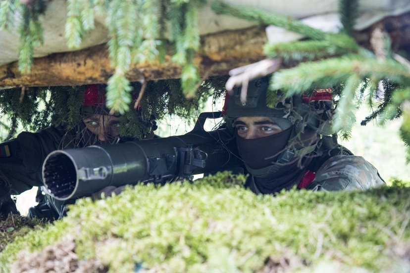 Tarptautinės pratybos „Geležinis vilkas 2021 I“ – pasirengimas veikti kartu su sąjungininkais