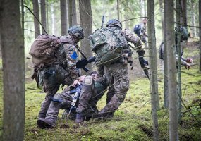Multinational Exercise Iron Wolf 2021 I – interoperability and readiness to act alongside allies   - 6