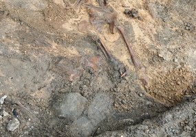 Sustabdęs magistro studijas archeologas atlieka tarnybą Inžinerijos batalione - 4