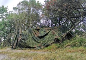 Karaliaus Mindaugo husarų bataliono kariai dalyvavo pratybose Danijoje  „Brave Lion 2021“ - 7