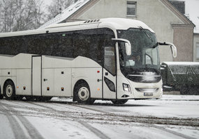 Karaliaus Mindaugo husarų batalioną papildė nauji nuolatinės privalomosios pradinės karo tarnybos... - 5