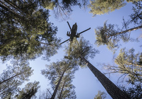 Pratybose Kazlų Rūdoje – bendra Lietuvos, JAV ir Jungtinės Karalystės karių operacija - 6