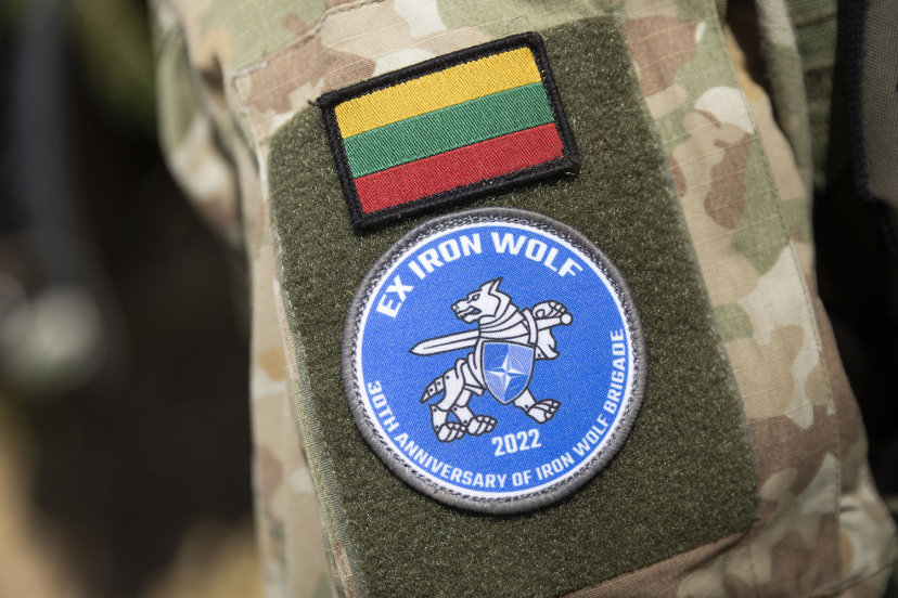 Baigėsi tarptautinės pratybos „Geležinis Vilkas 2022-I”