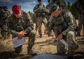 Mechanizuotoji pėstininkų brigada „Geležinis Vilkas" pasirengusi vykdyti užduotis - 5