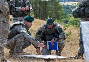 Mechanized Infantry Brigade Iron Wolf is up to the task - 2