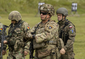 Lithuanian and Polish troops train side by side in Alytus - 4
