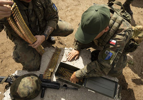 Lithuanian and Polish troops train side by side in Alytus - 5