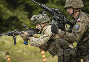 Lithuanian and Polish troops train side by side in Alytus - 8