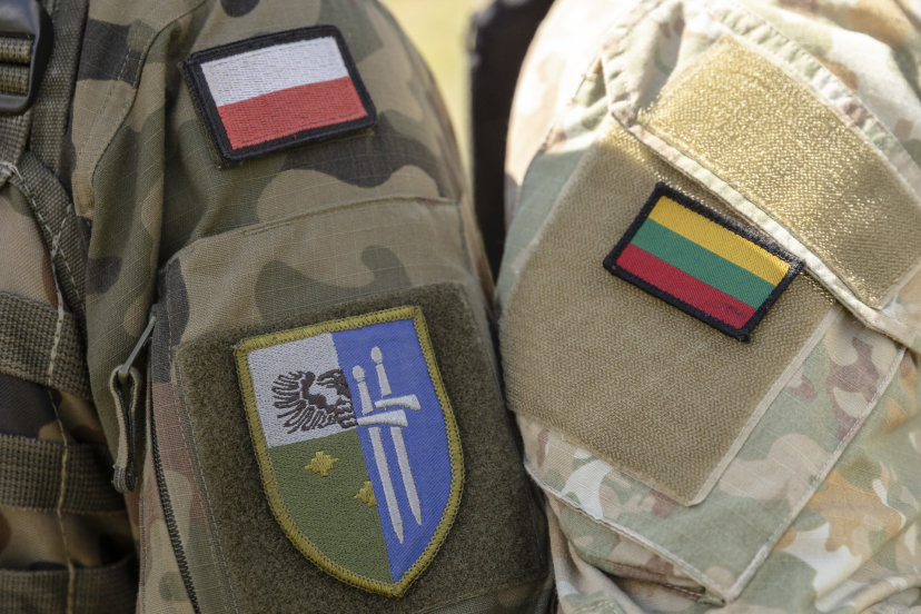 Lithuanian and Polish troops train side by side in Alytus