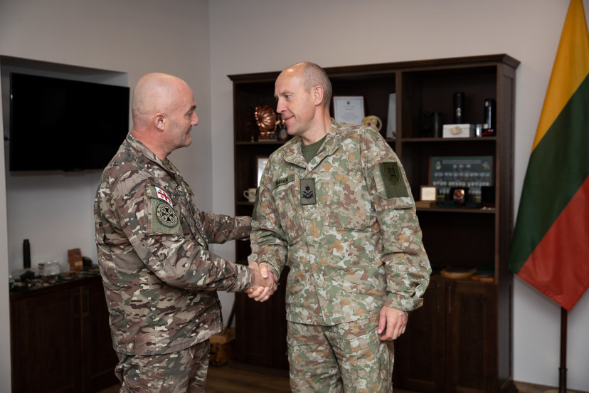 Lithuanian Armed Forces share experience with the National Guard of Georgia