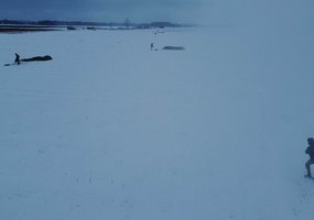Parašiutininkų pratybose desantuota priešiškų veiksmų imitavimo grupė - 1