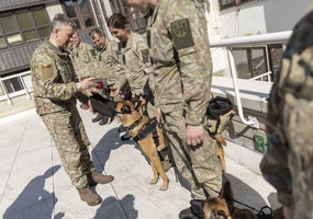 Keturkojų karių rikiuote Lietuvos kariuomenėje paminėta Šuns diena  - 2
