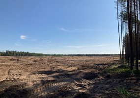 Vieneri atkurto Rūdninkų poligono metai: išminavimas, šaudyklos ir infrastruktūros kūrimas - 2