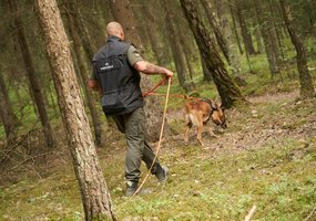 Dvejos Algirdiečių pratybos apgyvendintoje vietovėje vienu metu - 7