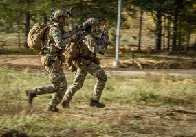 Fotogalerija: gynybos operacija tarptautinių pratybų „Geležinis vilkas 2023-2“ metu  - 16