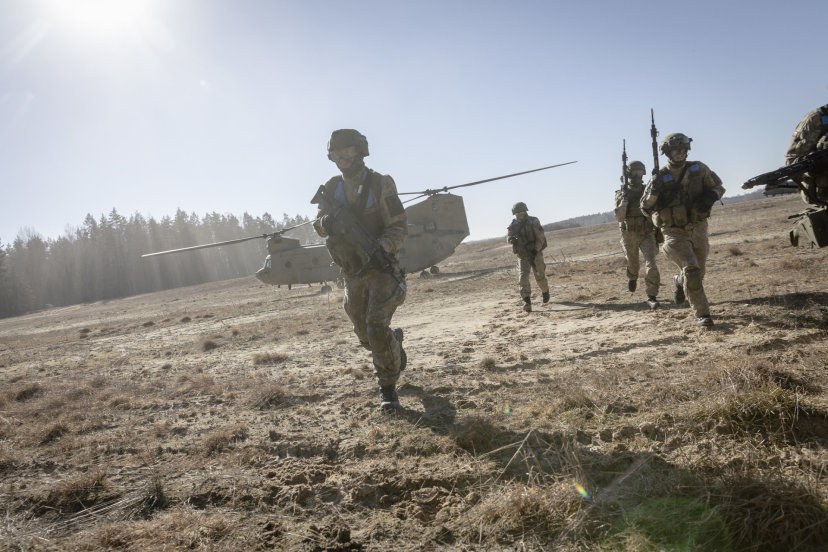Lithuanian Armed Forces enters an intense training period involving over 20 thousand troops