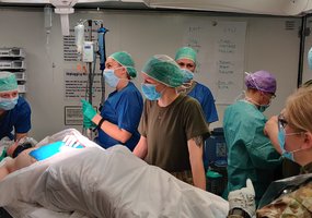 Lietuvos karo medikai kartu su sąjungininkais treniravosi Vengrijoje - 1