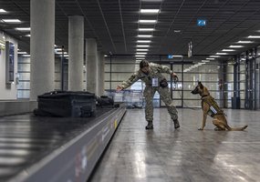 Kariuomenės kinologai išvyksta tarnybinių užduočių vykdymui į Paryžiaus olimpines žaidynes - 7