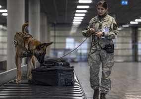Kariuomenės kinologai išvyksta tarnybinių užduočių vykdymui į Paryžiaus olimpines žaidynes - 8
