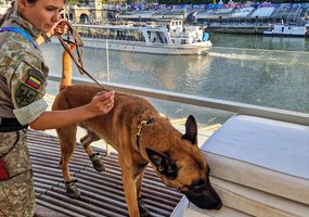 Inžinerijos bataliono kinologai prisidėjo prie saugumo užtikrinimo Paryžiaus olimpinėse žaidynėse - 4