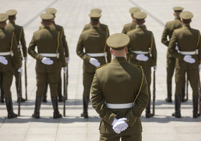 Color Guards of the Lithuanian armed forces saluted the President - 11