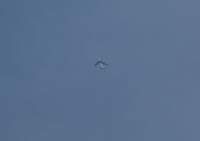 U.S. strategic bombers and Italian fighter aircraft ground-controlled by Lithuanian military... - 2