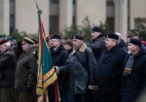Krašto apsaugos savanorių pajėgos minėjo 34-ąsias įkūrimo metines - 10
