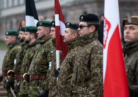 Krašto apsaugos savanorių pajėgos minėjo 34-ąsias įkūrimo metines - 8