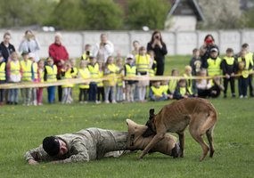 Lietuvos kariuomenėje paminėta Šuns diena, savo gebėjimus demonstravo tarnybiniai šunys - 6