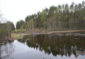 Incident aftermath removal continues at the General Silvestras Žukauskas Training Area - 3