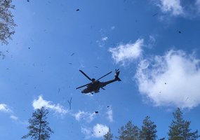 Lietuvos kariai dalyvauja tarptautinėse pratybose Suomijoje - 13