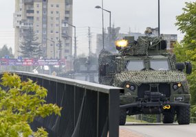 Strategiškai svarbiame regione įvyko Partizanų pagerbimo, kariuomenės ir visuomenės vienybės diena   - 8