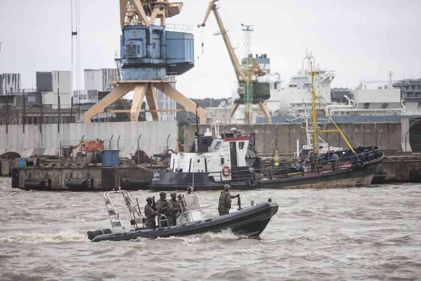 Exercises Iron Wolf 2025-I and Storm Defender 2025 begin