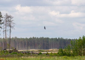 Kariuomenės pratybose „Vanguard 26“ testuotos privačių gamintojų dronų ir oro balionų aptikimo... - 2
