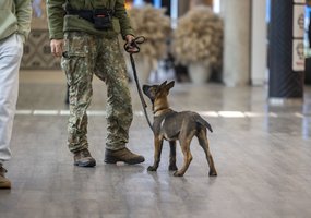 Pirmą kartą Inžinerijos pulke surengti tarpinstituciniai sprogmenų paieškos su tarnybiniais... - 5